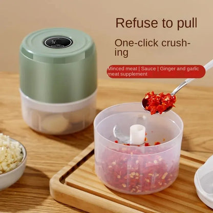 Mini Food Chopper