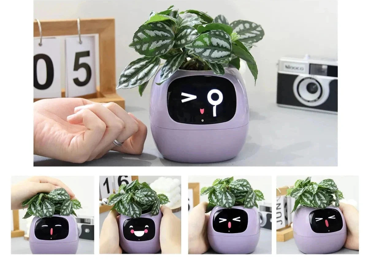 Smart Grow Plant Buddy