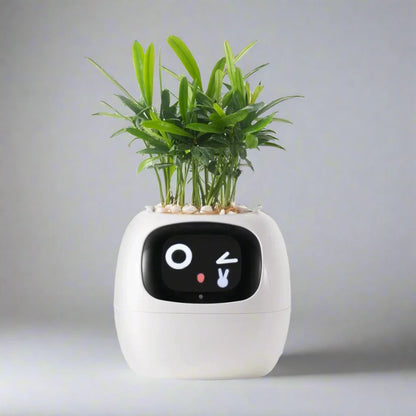 Smart Grow Plant Buddy