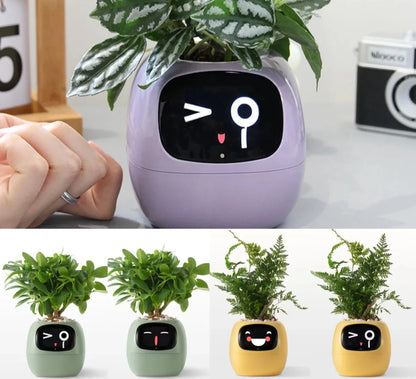 Smart Grow Plant Buddy